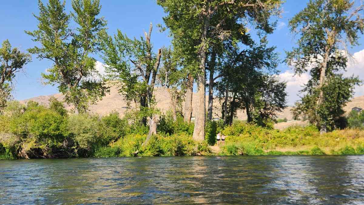 River Rope Swing